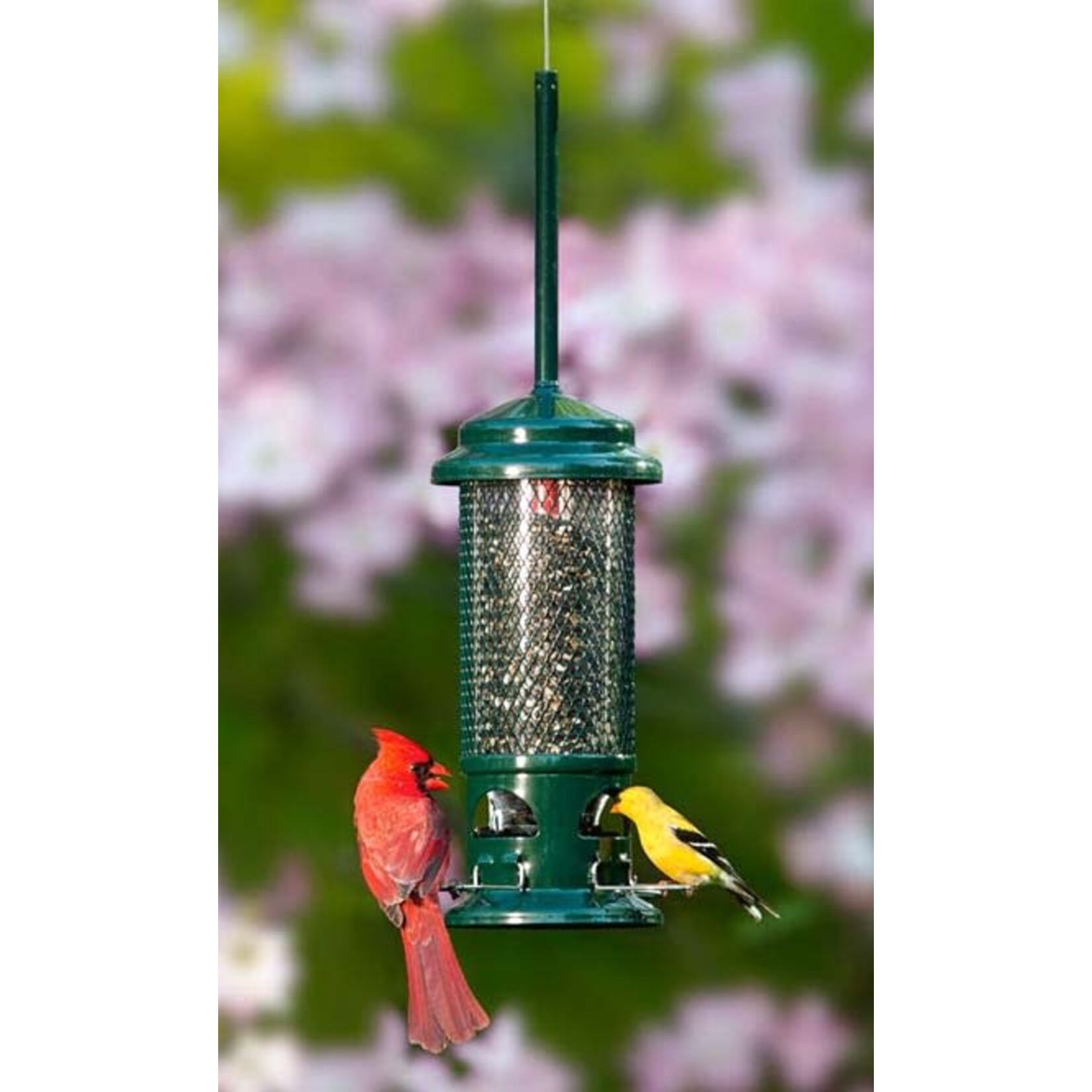 Brome Squirrel Buster Standard  Bird Feeder