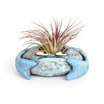 Blobhouse Krusty the Crab - Mini Planter
