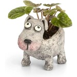 Blobhouse Petunia the Dog Planter