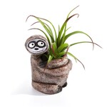 Blobhouse Bodhi the Sitting Sloth Planter,