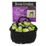 Ganz Hokus Croakus Frog - Charm