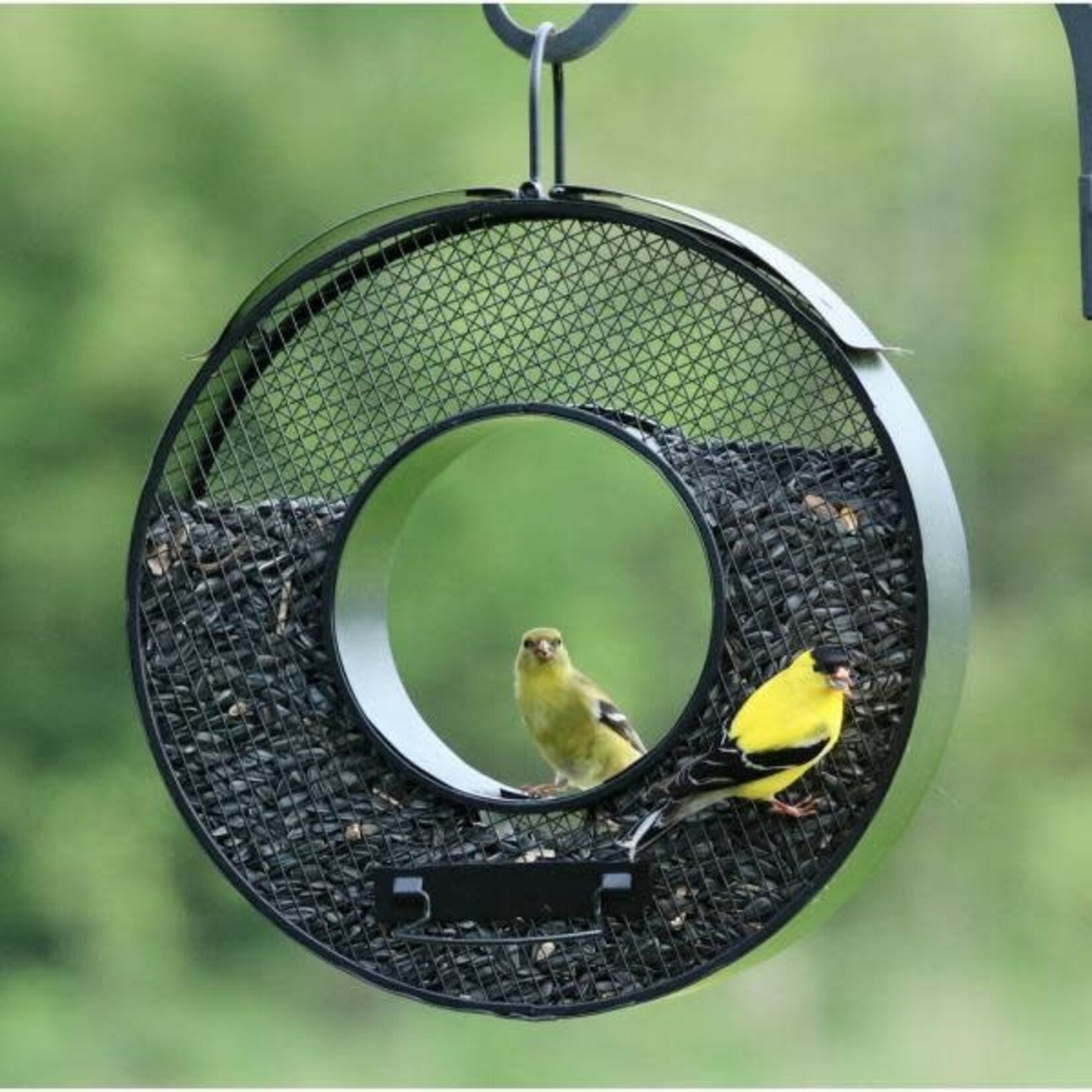 Black Circle Mesh Fly Thru Feeder