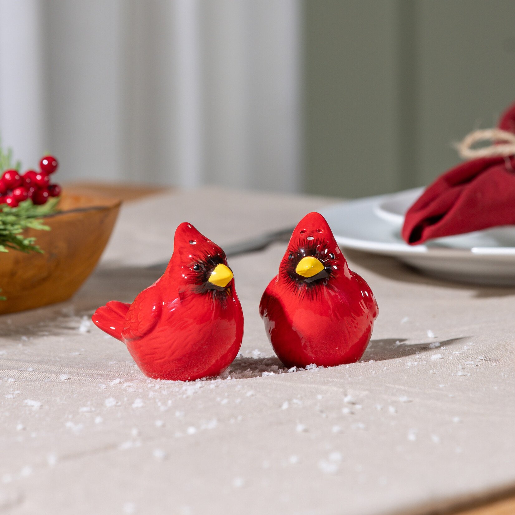 Ceramic Salt and Pepper Set, Cardinal