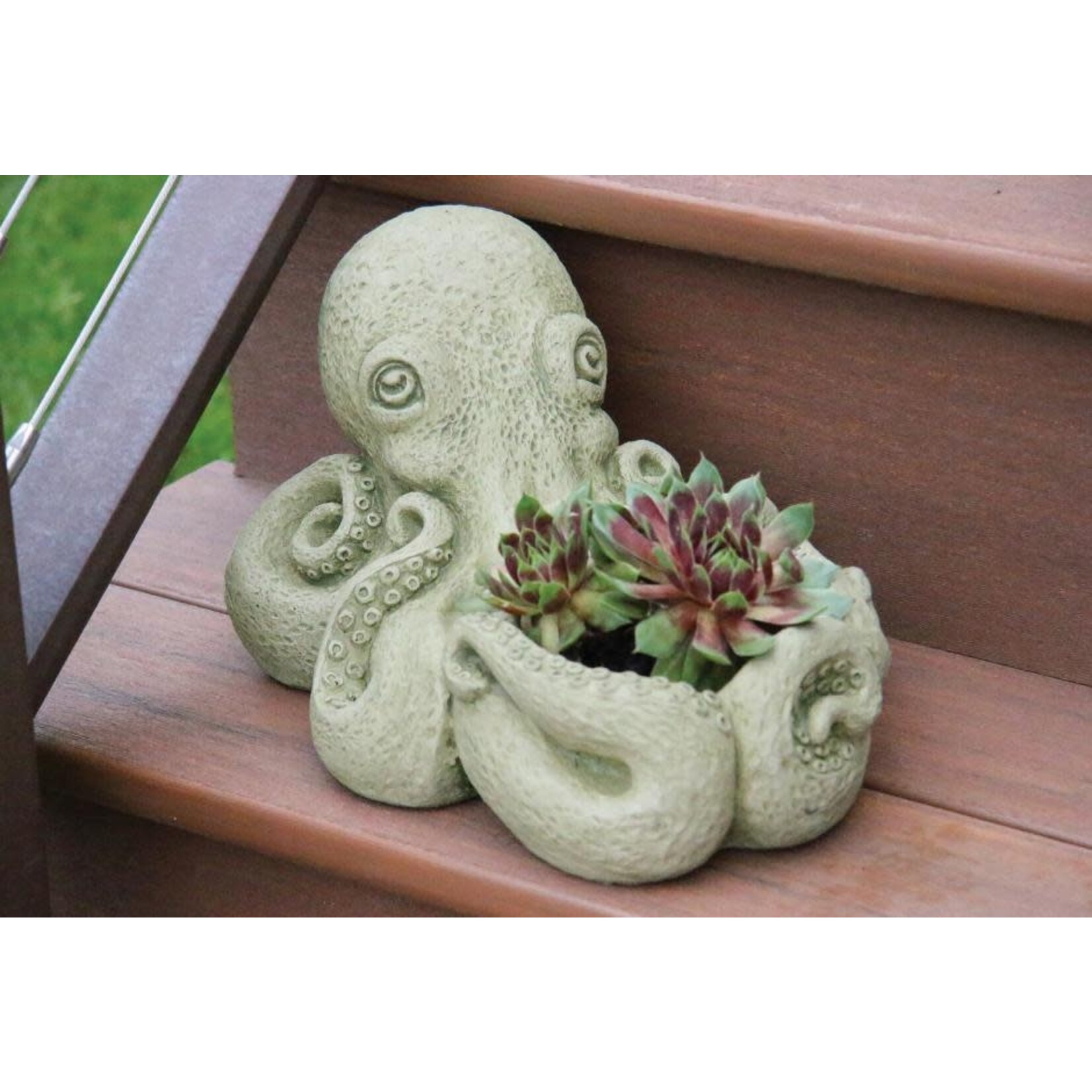 Massarelli Stone Inky The Octopus Stone Planter