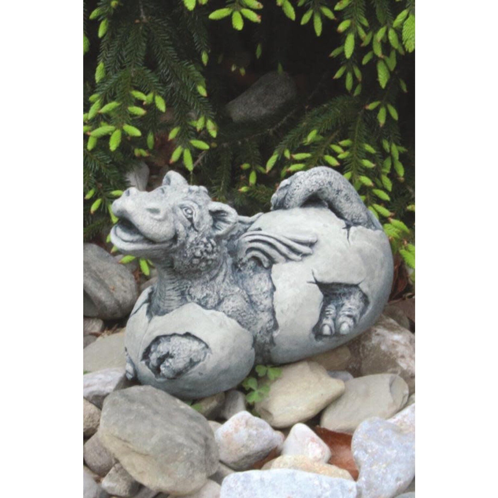 Massarelli Stone Lil Dragon - Hatching Perky Statue