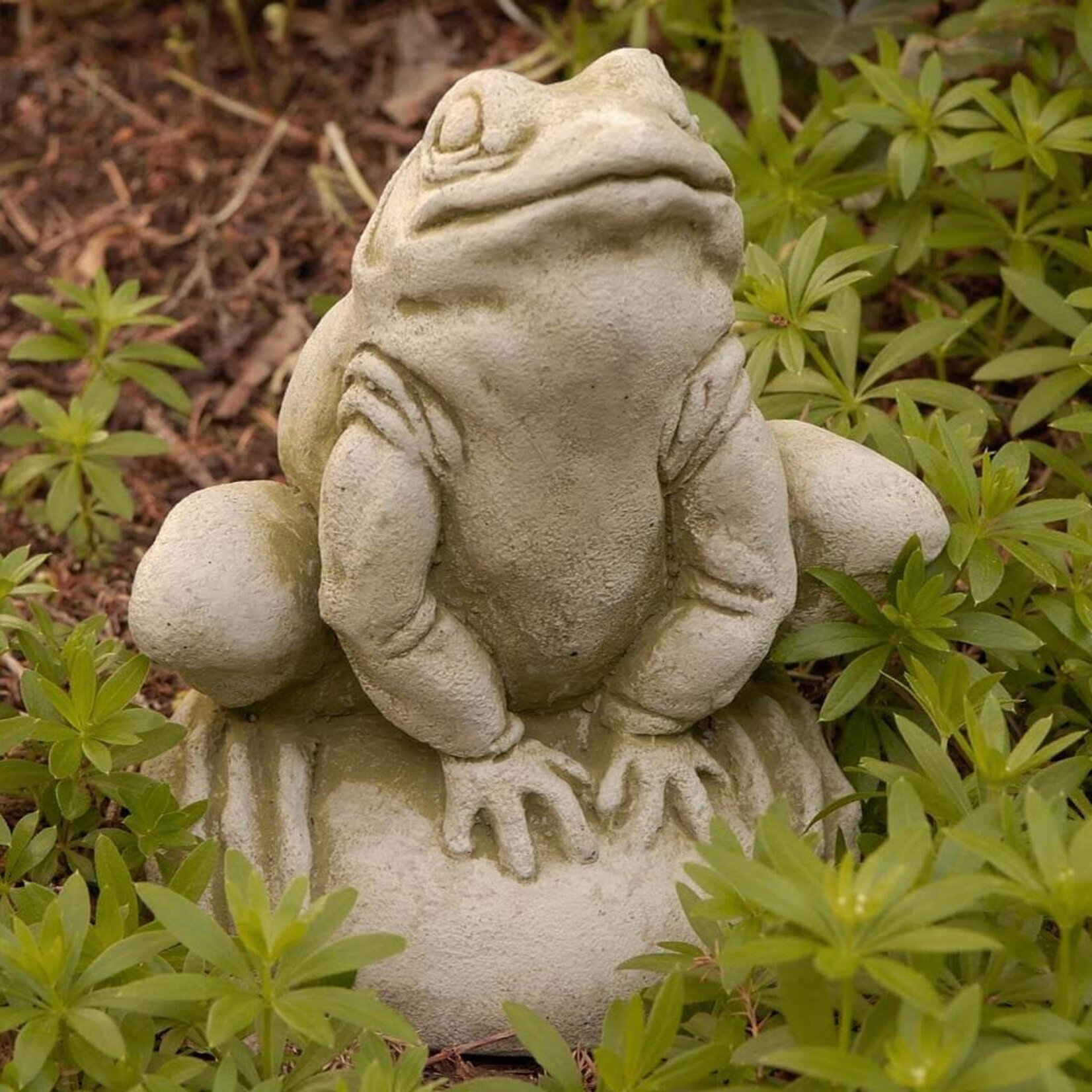 Campania Frankie The Frog  Statue