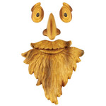Old Man Tree Face