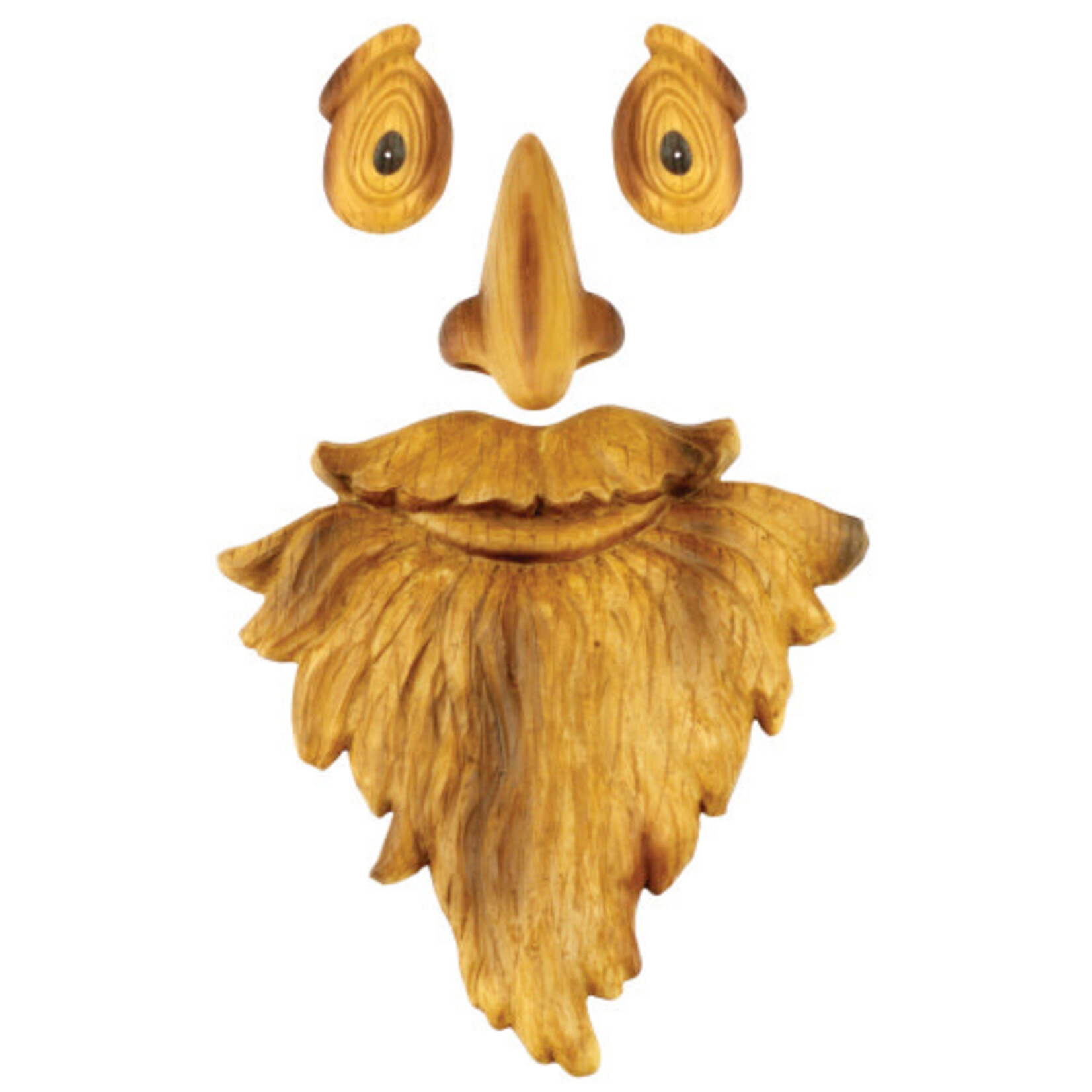 Old Man Tree Face