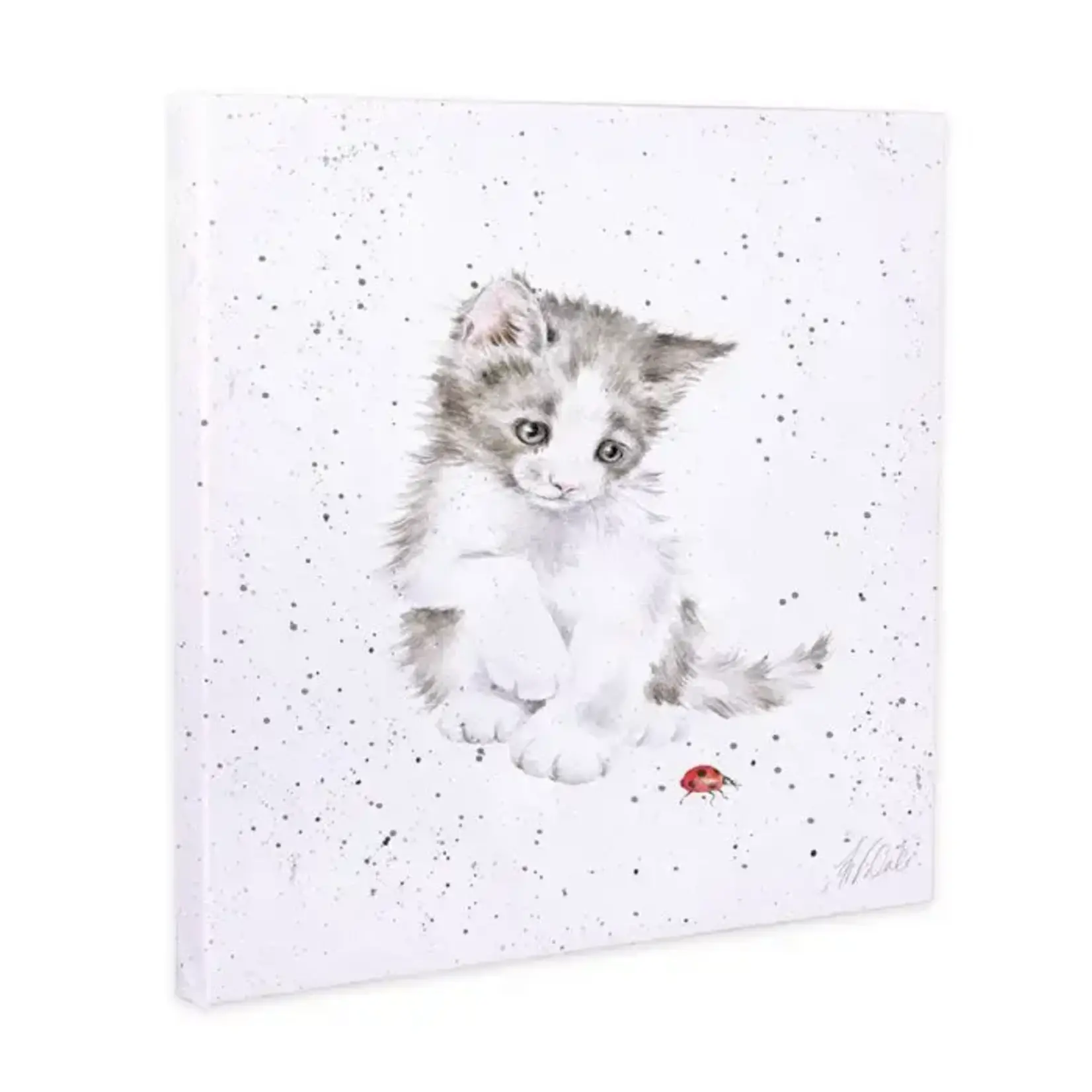 Kitten Canvas - Ladybird WAS 25.95 Now 40% Off