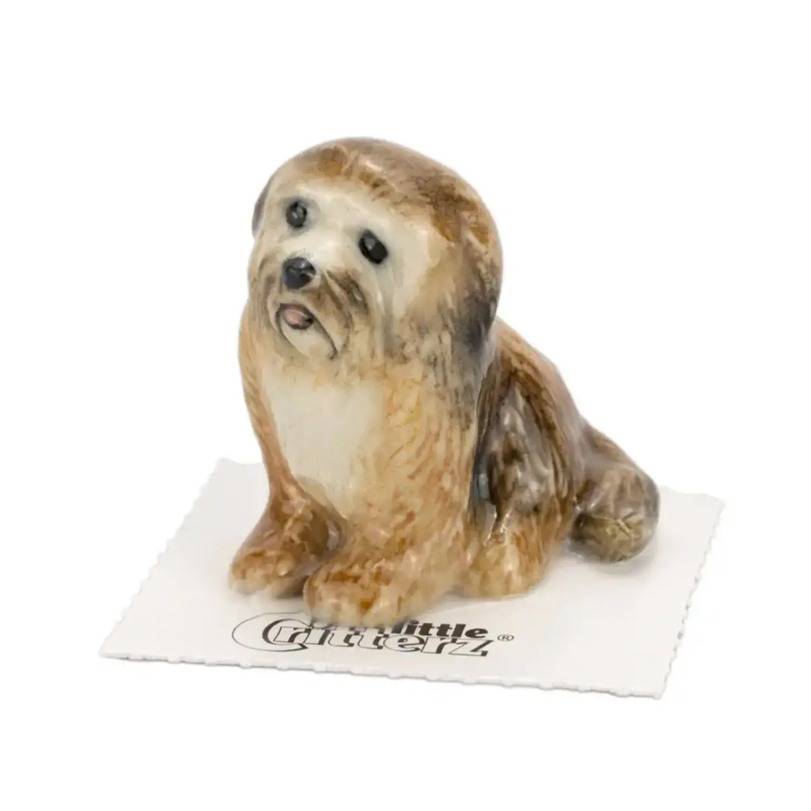 Little Critterz Havanese "Harold"