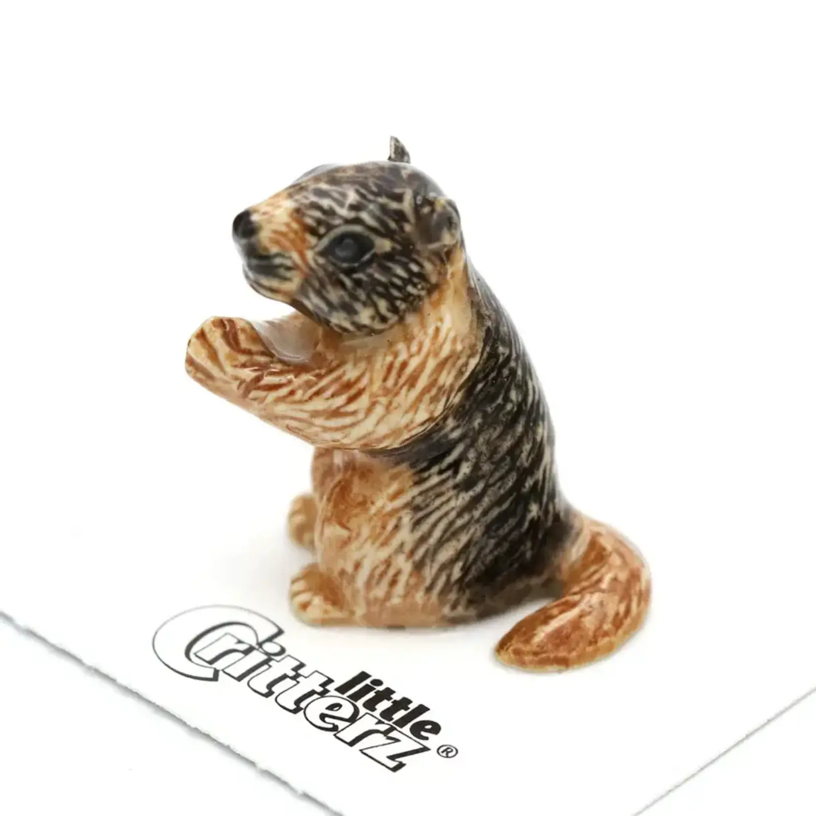 Little Critterz Marmot - Yellow Bellied Marmot "Chuck" - miniature porcelain figurine