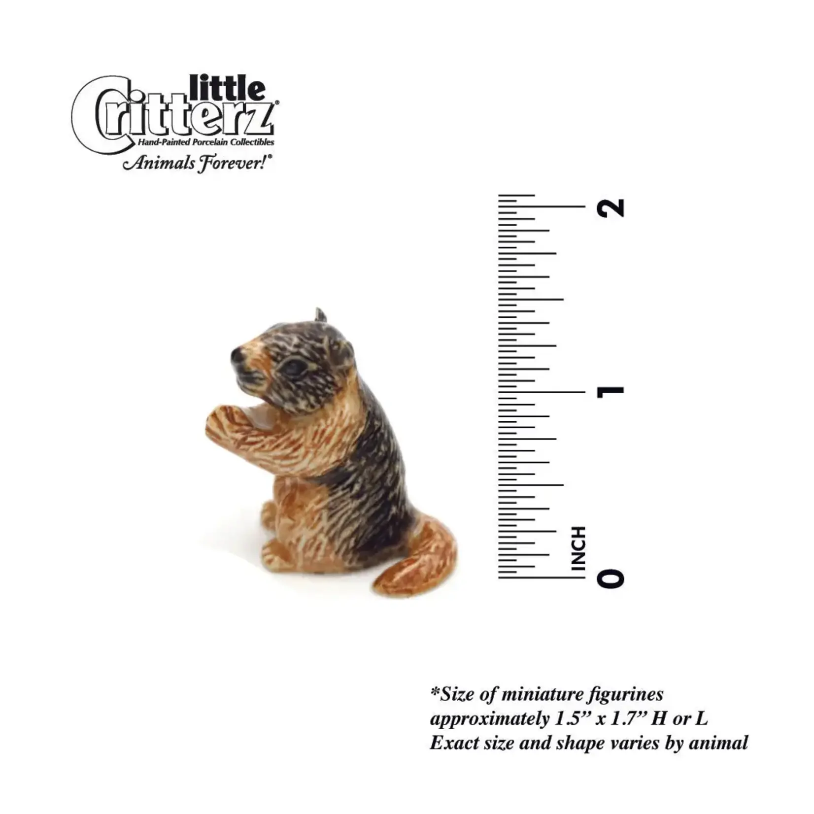 Little Critterz Marmot - Yellow Bellied Marmot "Chuck" - miniature porcelain figurine