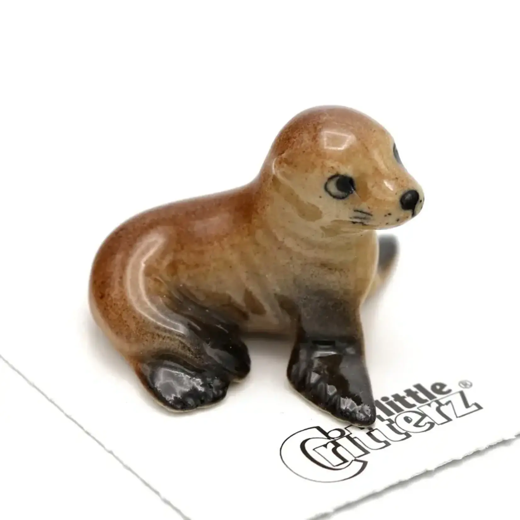 Little Critterz Rocky" Sea Lion Pup - miniature porcelain figurine