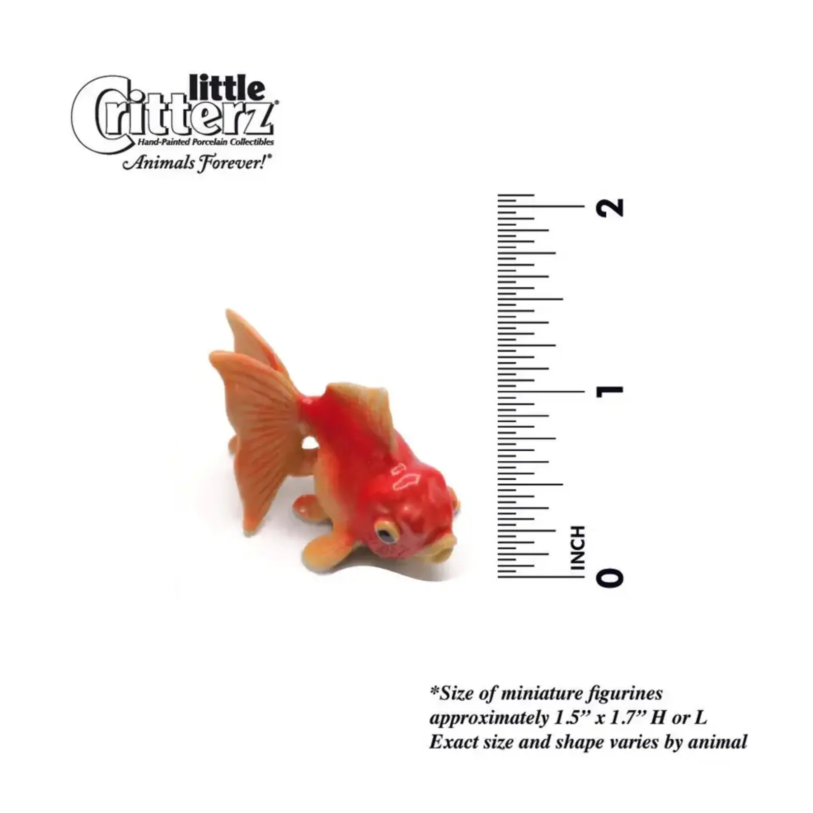 Little Critterz "Fancy" Fantail Goldfish