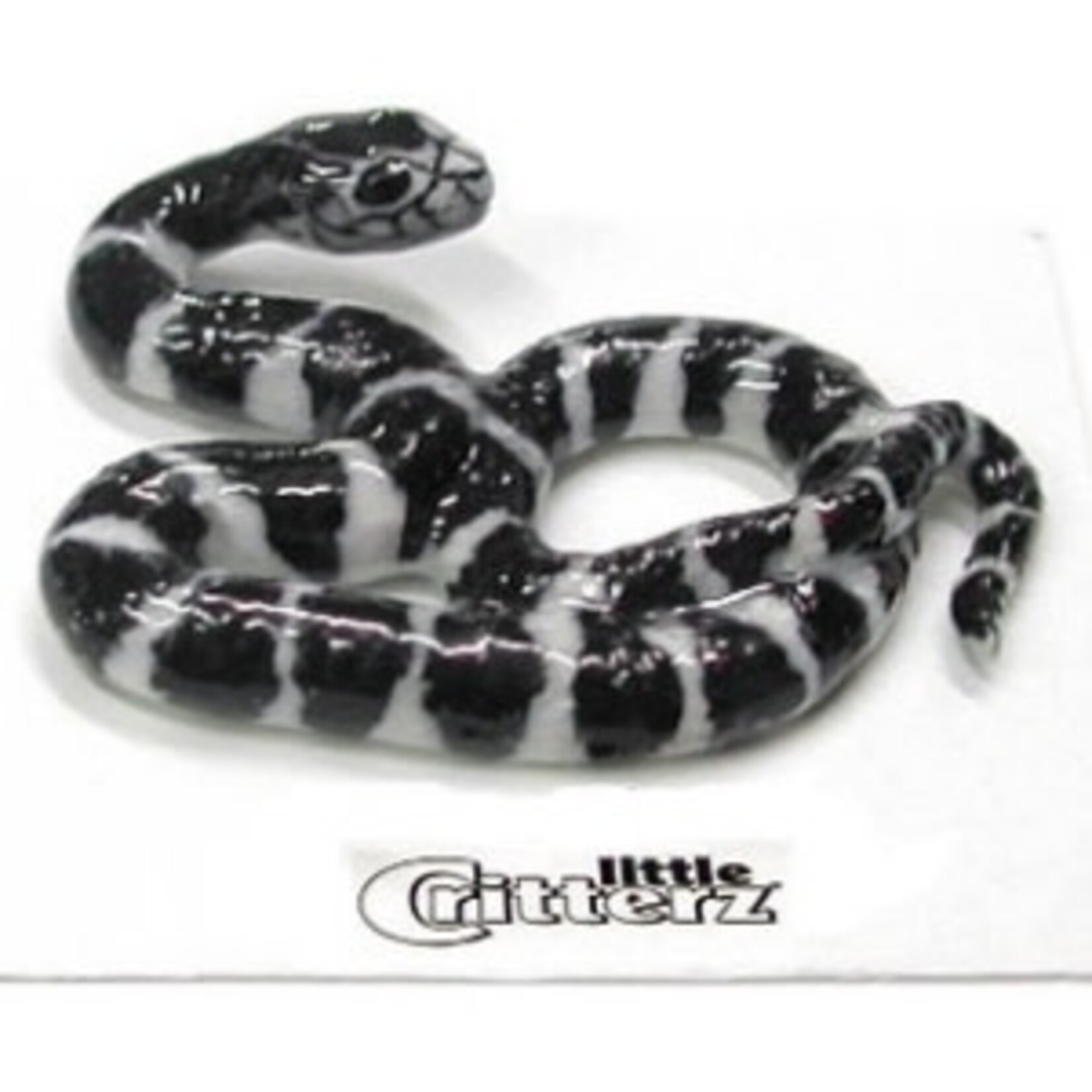 Little Critterz King Snake