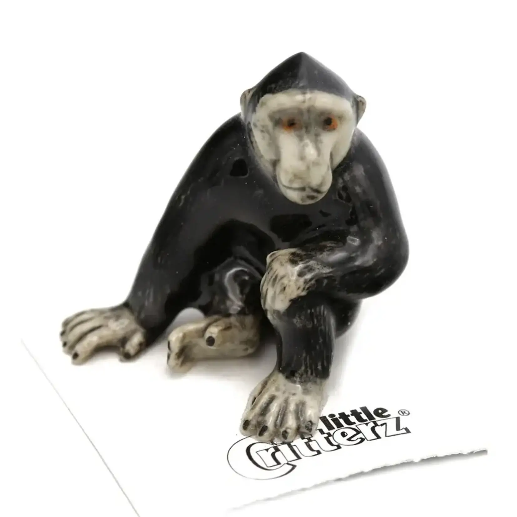 Little Critterz Crested Macaque "Celebes"- miniature porcelain figurine