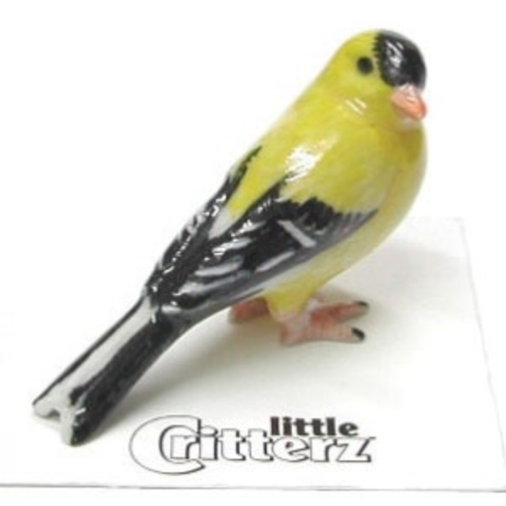 Little Critterz Bounce Goldfinch Miniature