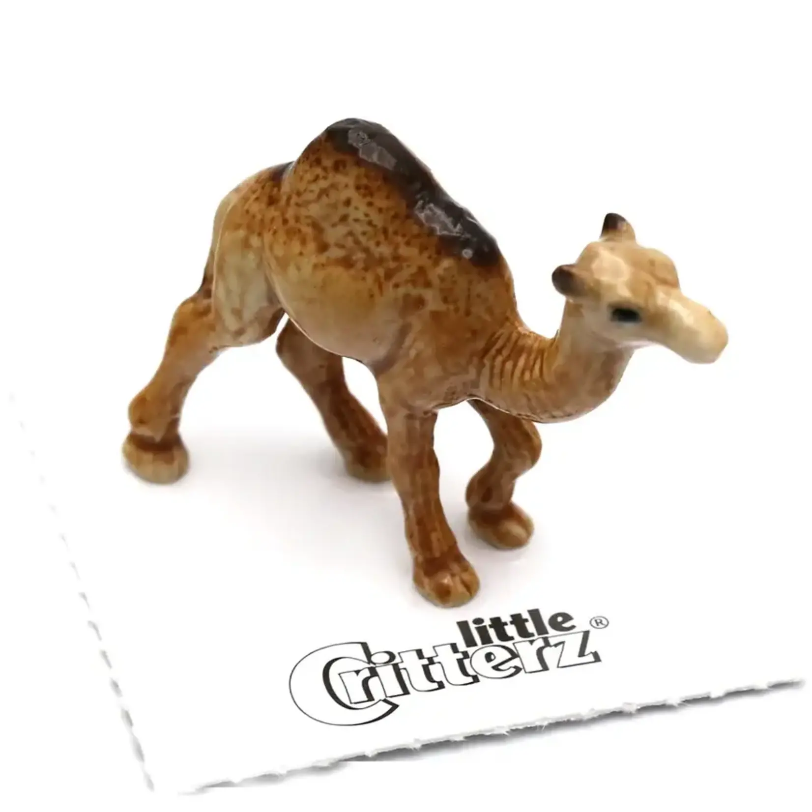 Little Critterz Dromedary Camel "Patient"