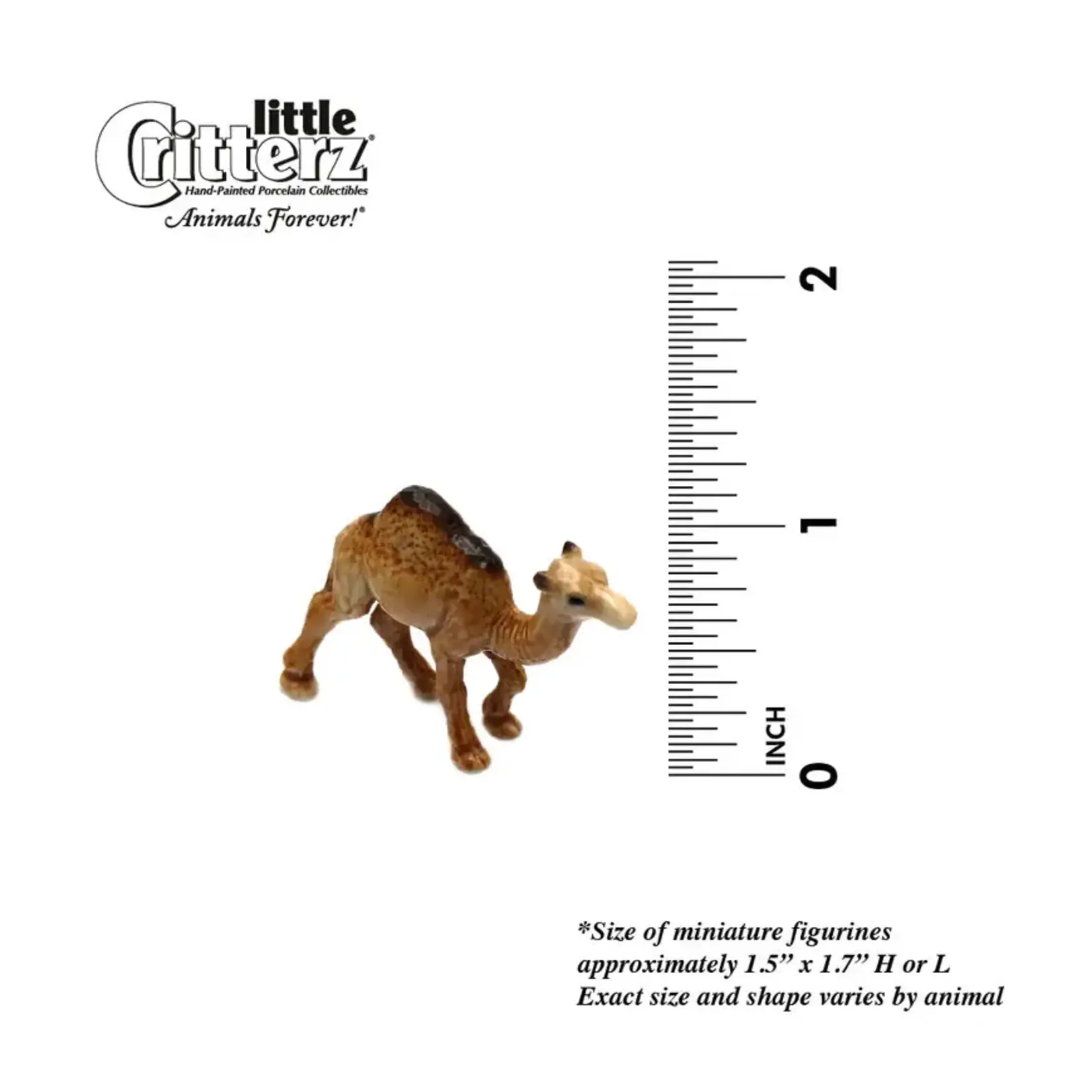 Little Critterz Dromedary Camel "Patient" - miniature porcelain figurine