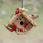 All Season Wren Casita  House Made From Bird Seed