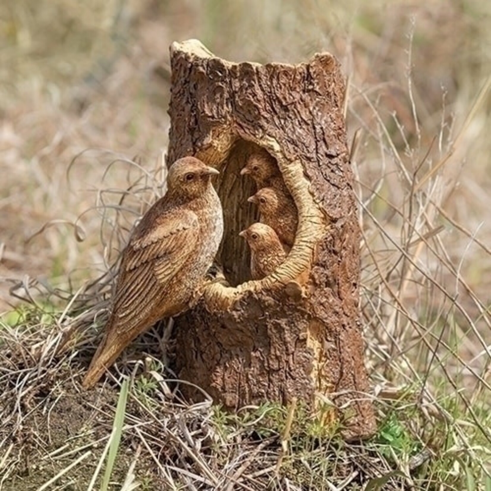 Robin Bird and Babies - Outdoor Garden Statue