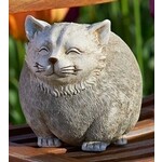 Cat - Pudgy Pal