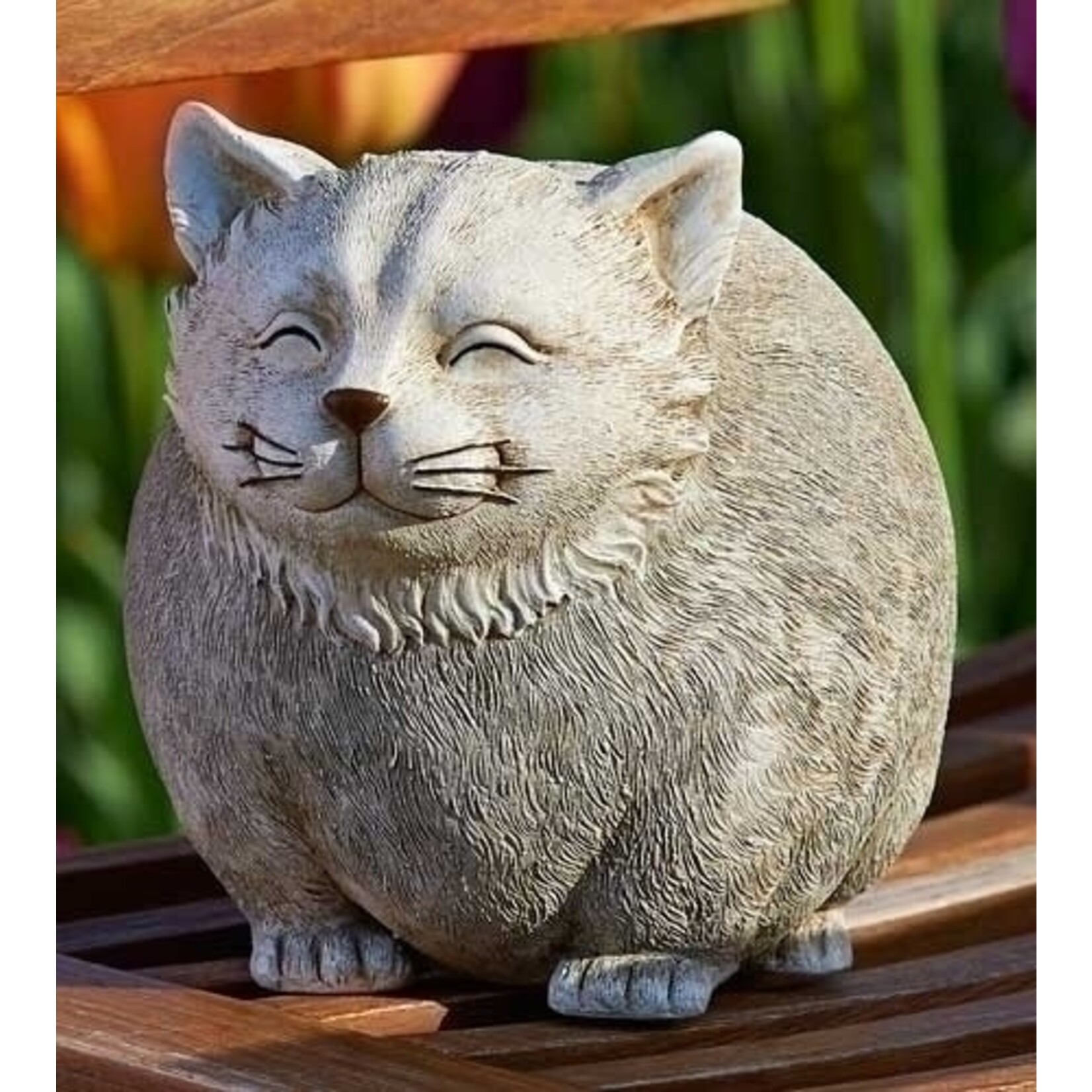 Cat - Pudgy Pal