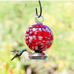 Dew Drop Cloud Hummingbird Feeder