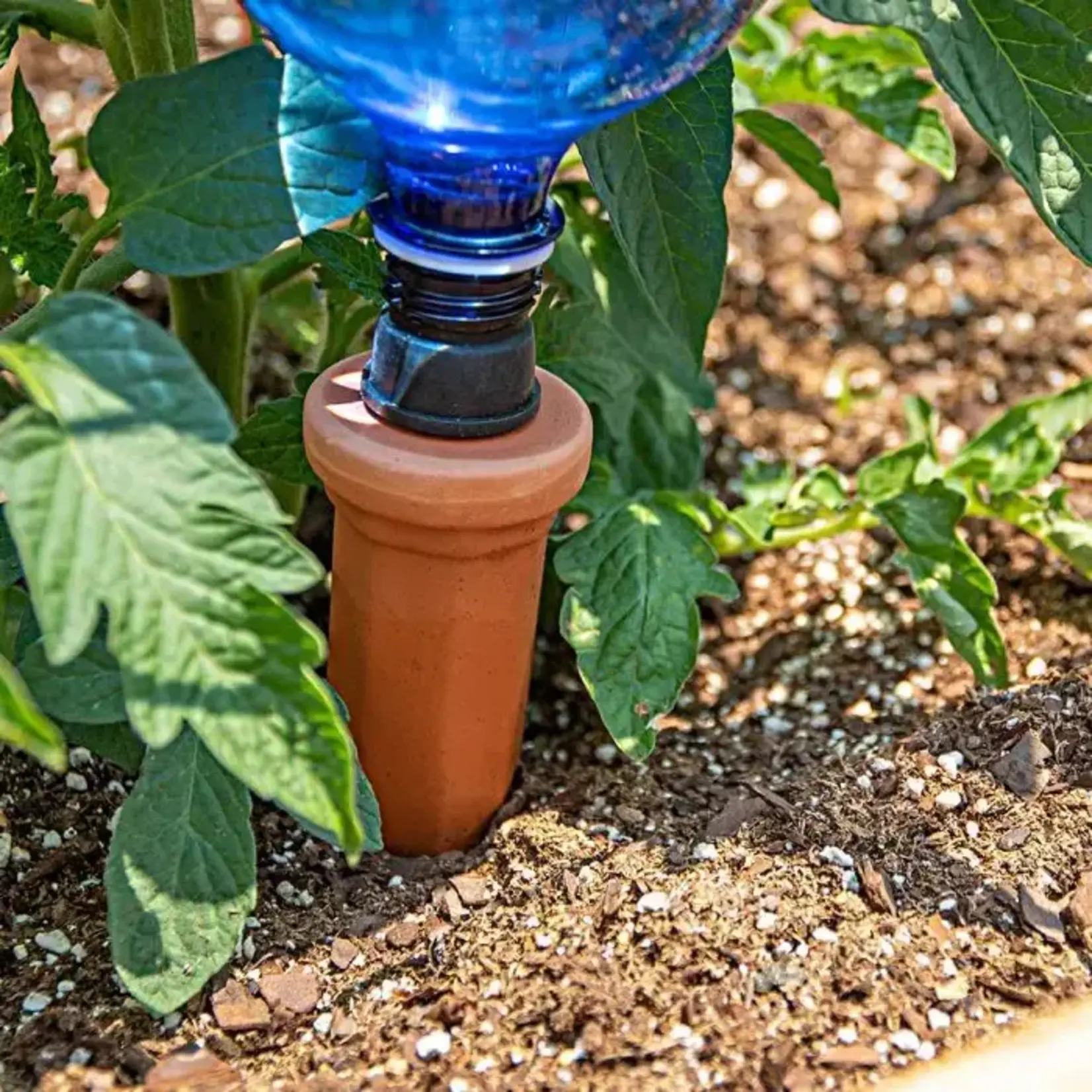 Plant Nanny EZ Fill Watering Stakes