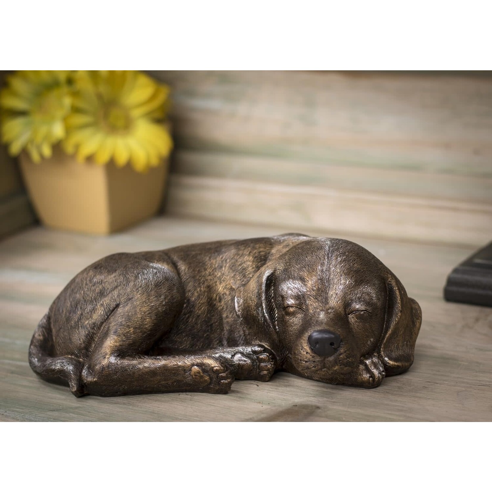 Sleeping Animal Dog - Bronze
