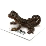 Little Critterz Curly-Tailed Lizard "Whip"