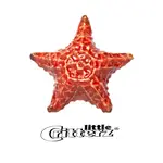 Little Critterz Starfish "Sea-Star"