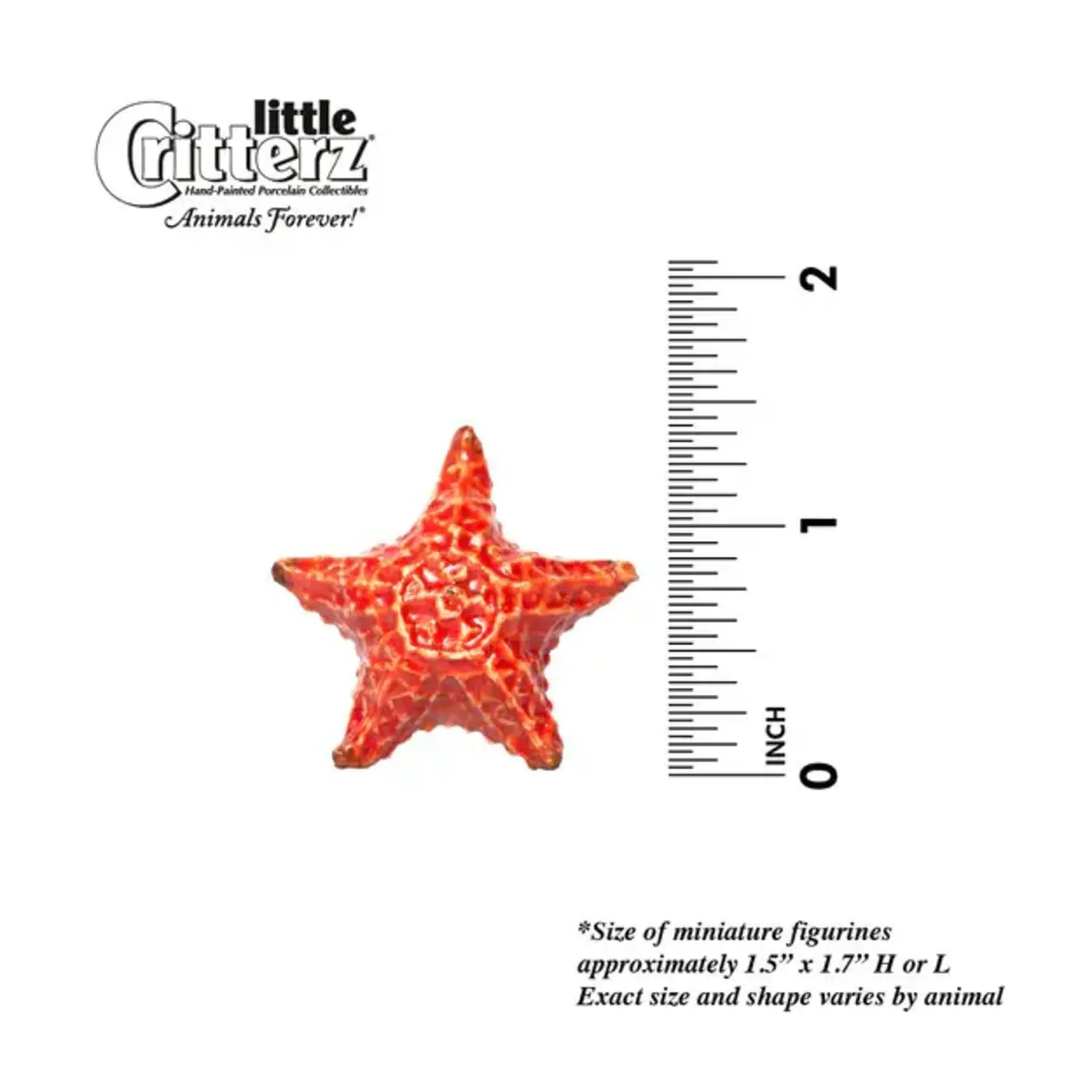 Little Critterz Starfish "Sea-Star"