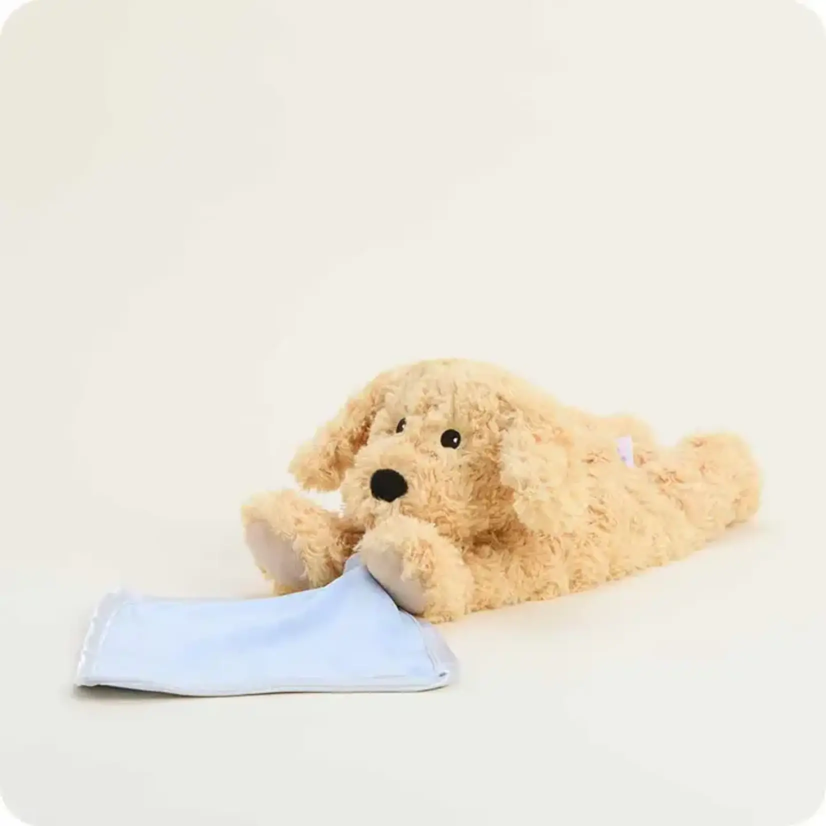 Warmies Golden Dog with Blanket