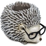 Hedgehog Planter Silly Spectacles