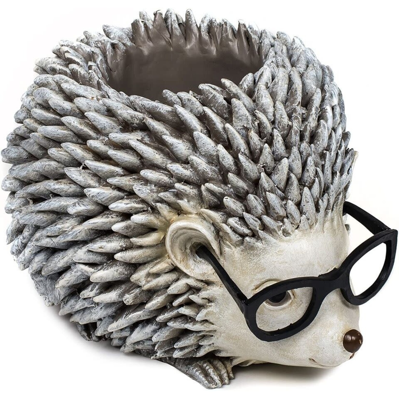 Hedgehog Planter Silly Spectacles