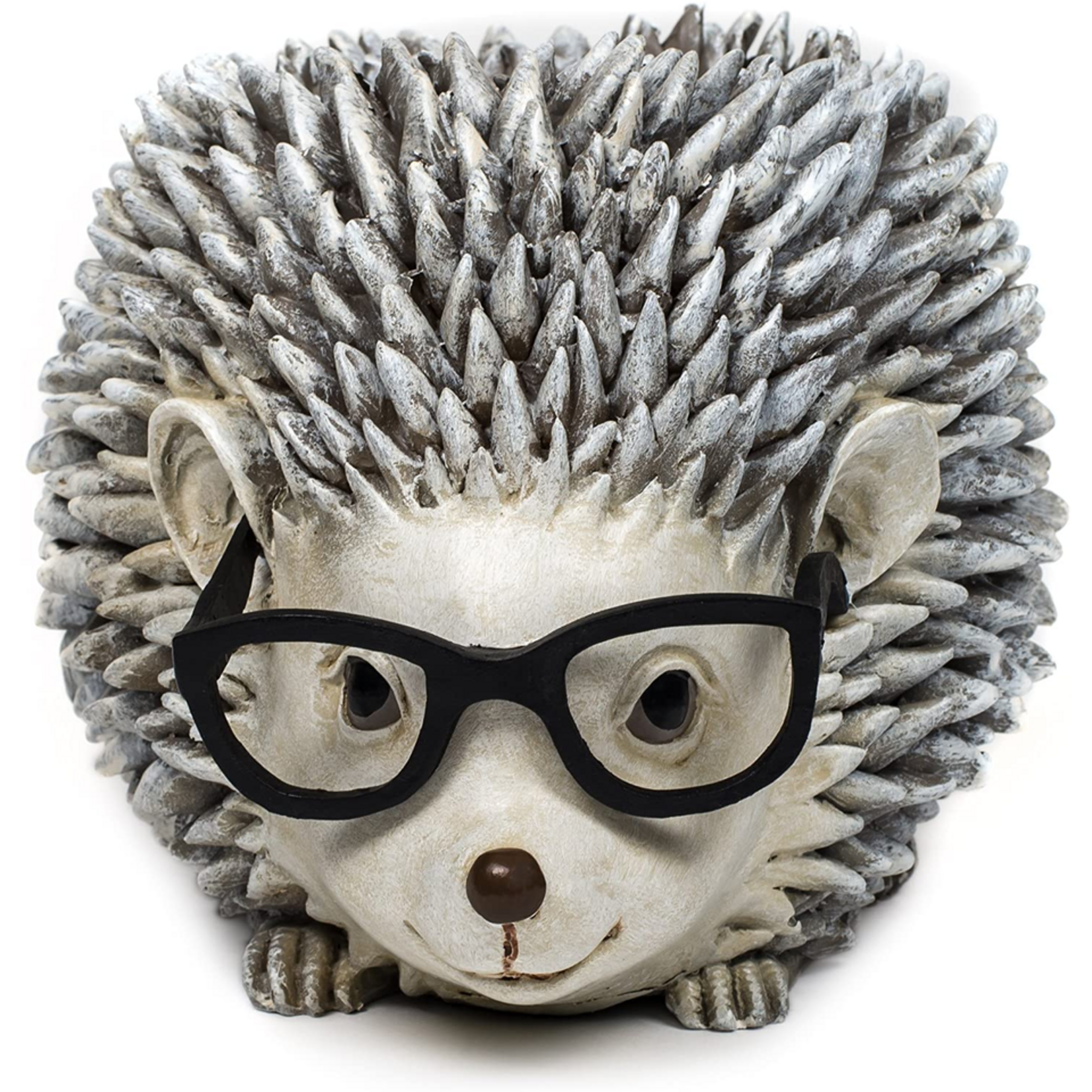 Hedgehog Planter Silly Spectacles
