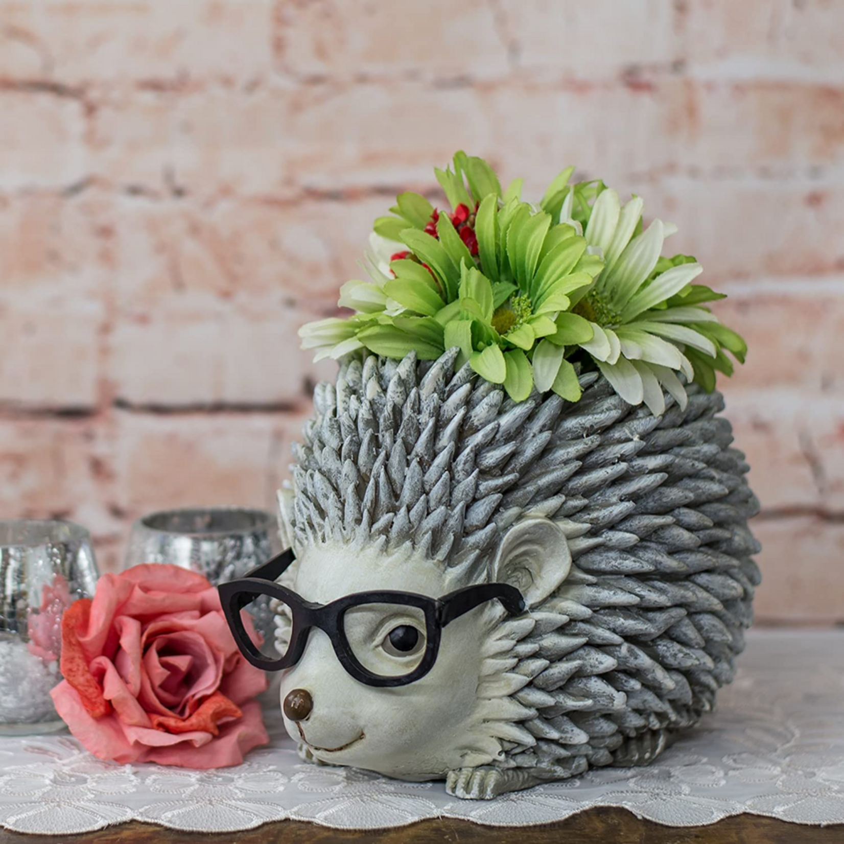 Hedgehog Planter Silly Spectacles