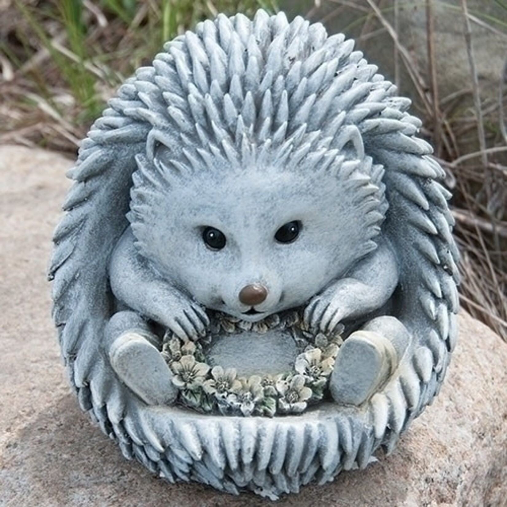 Hedgehog In Rain Boots