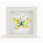 Elisabeth Hays Elisabeth Hays Endlessly Hopeful Yellow/Green Butterfly Shadow Box