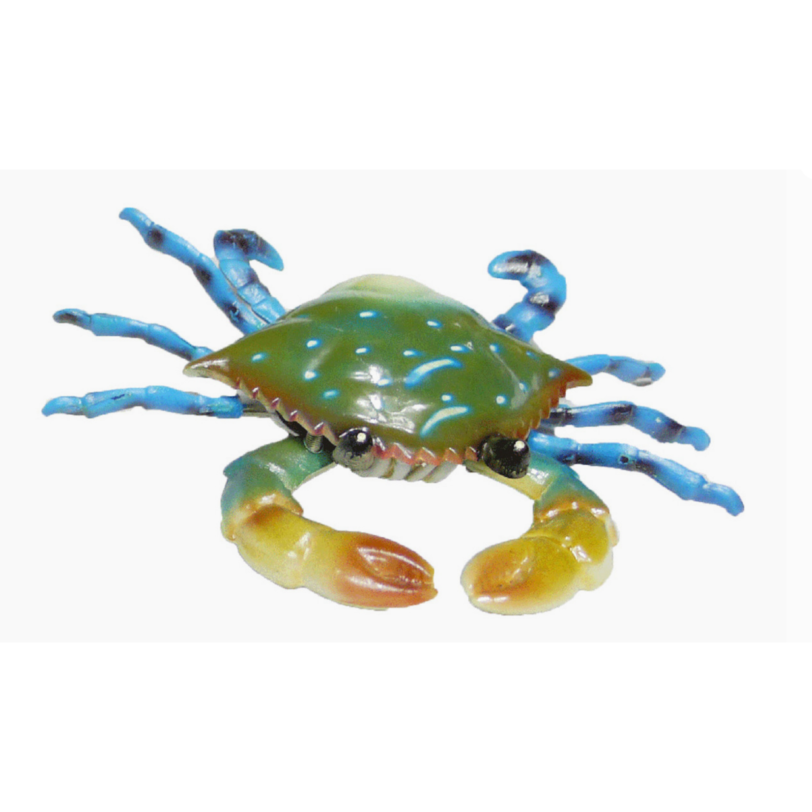 Sea Creations Jiggly Blue Crab Magnet