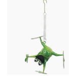 Frog Bouncy-Na-Na