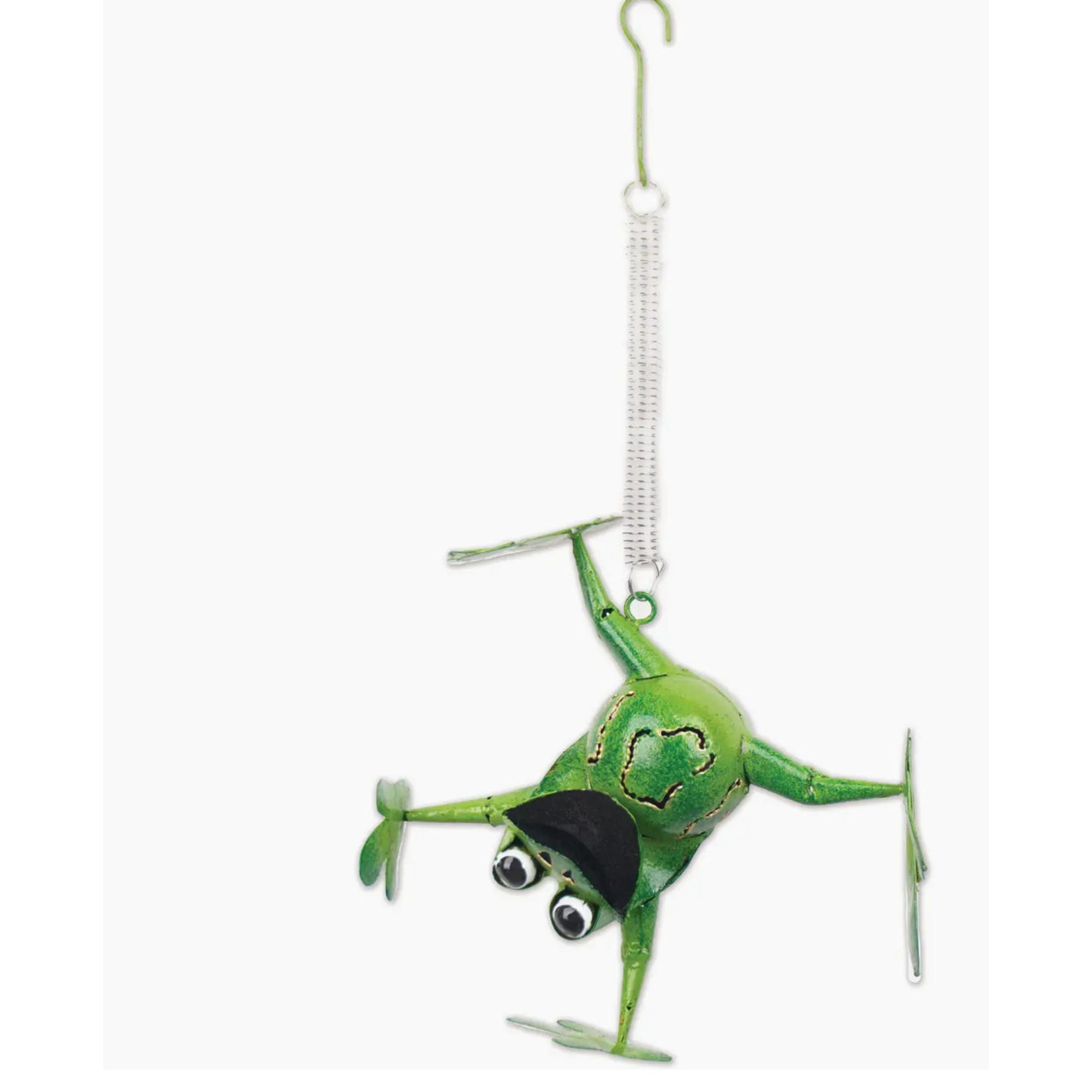 Frog Bouncy-Na-Na the Frog