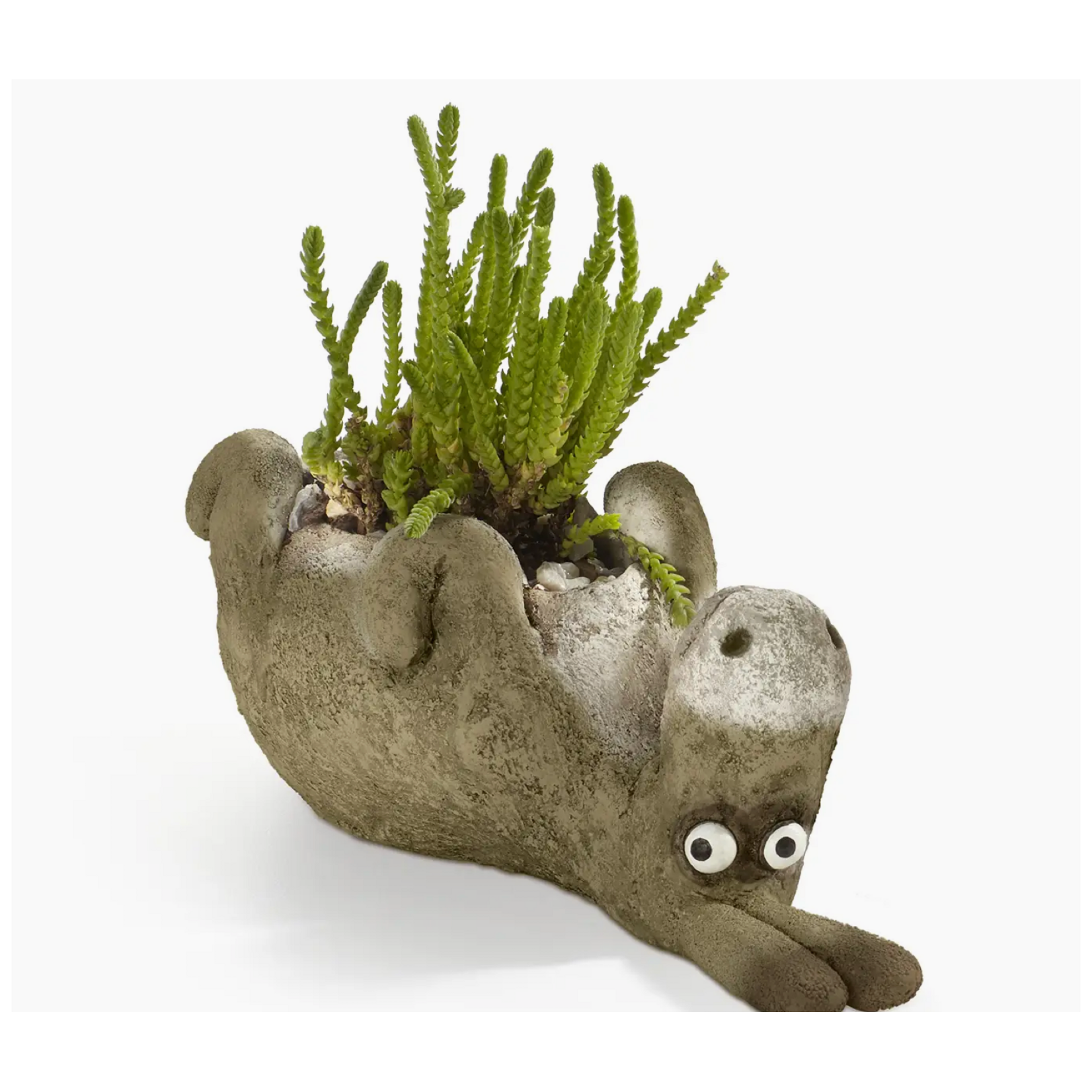 Blobhouse Chester, the Donkey Blobhouse Planter (Laying Down)