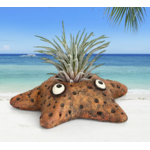 Blobhouse Asters Star Fish Blobhouse Planter