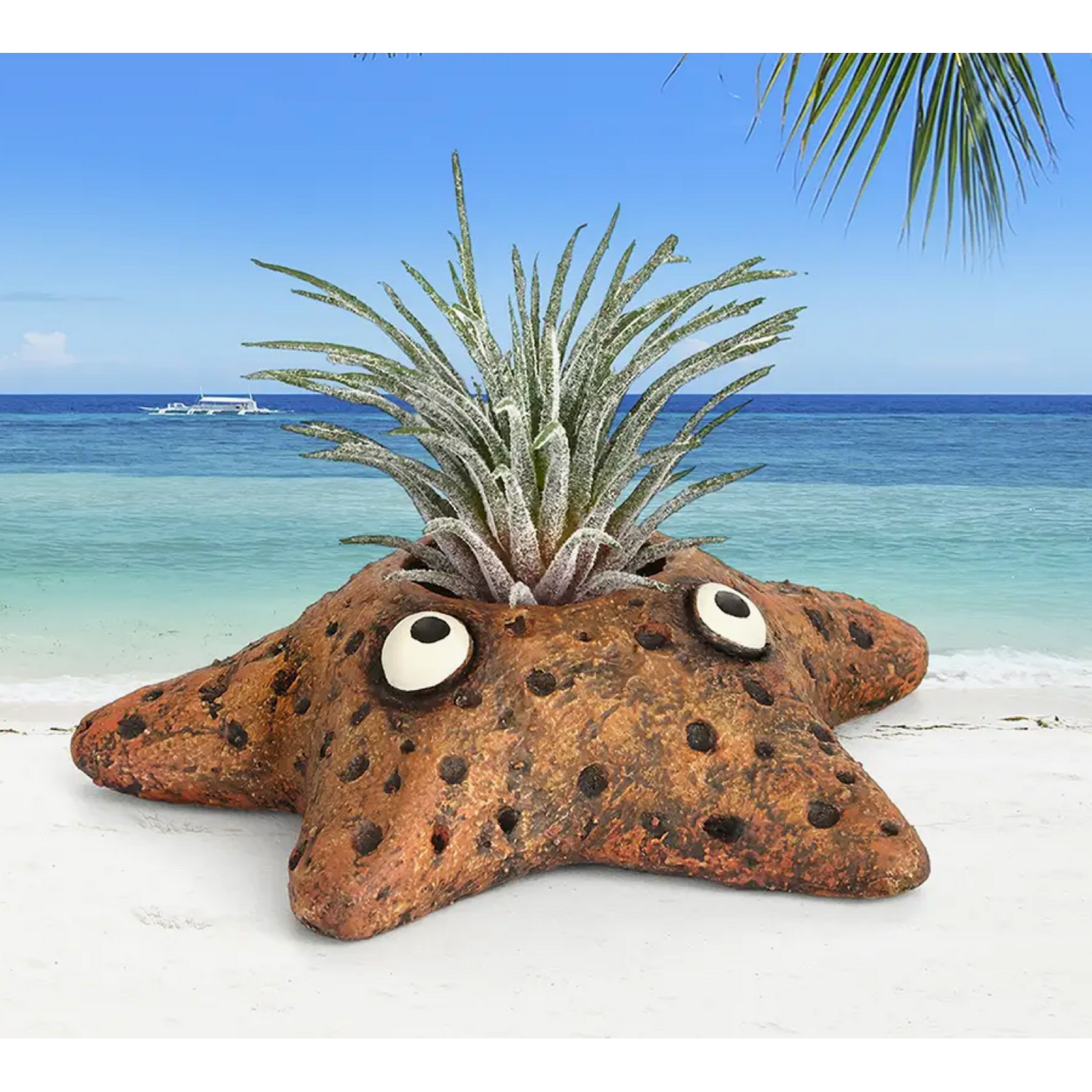 Blobhouse Asters Star Fish Blobhouse Planter