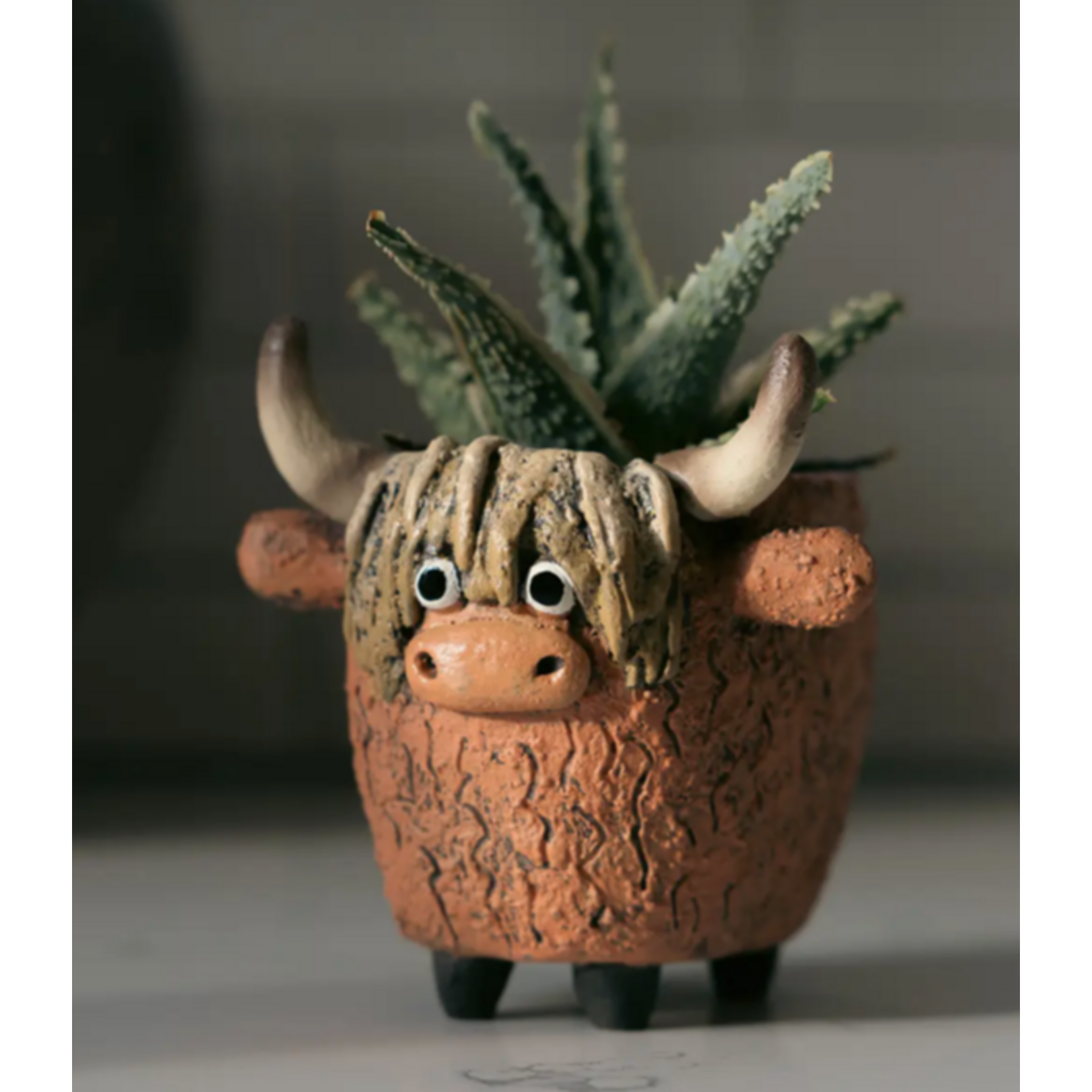 Cohasset Gift & Garden Dougal the Highland Cow Blobhouse Planter