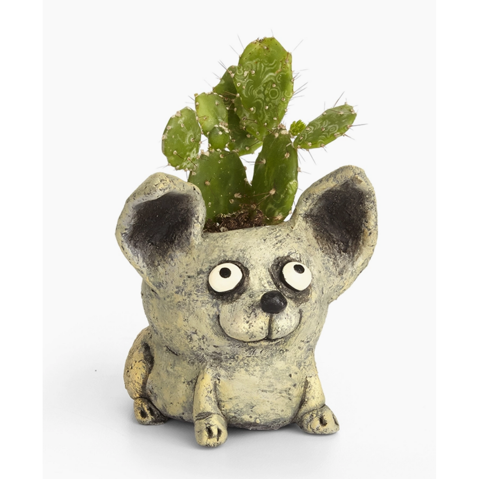 Blobhouse Chico Dog Blobhouse Planter