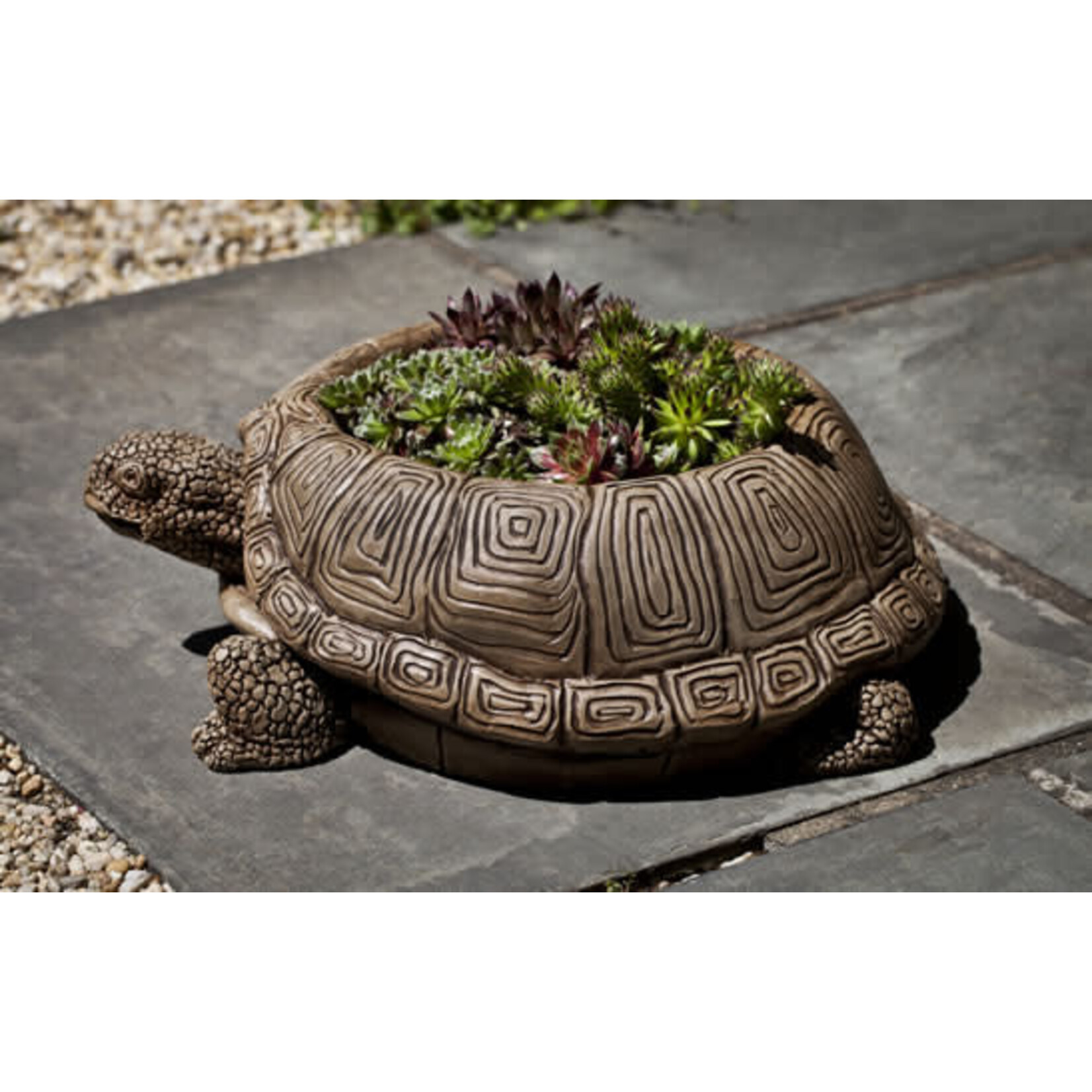 Campania Turtle Planter Stone