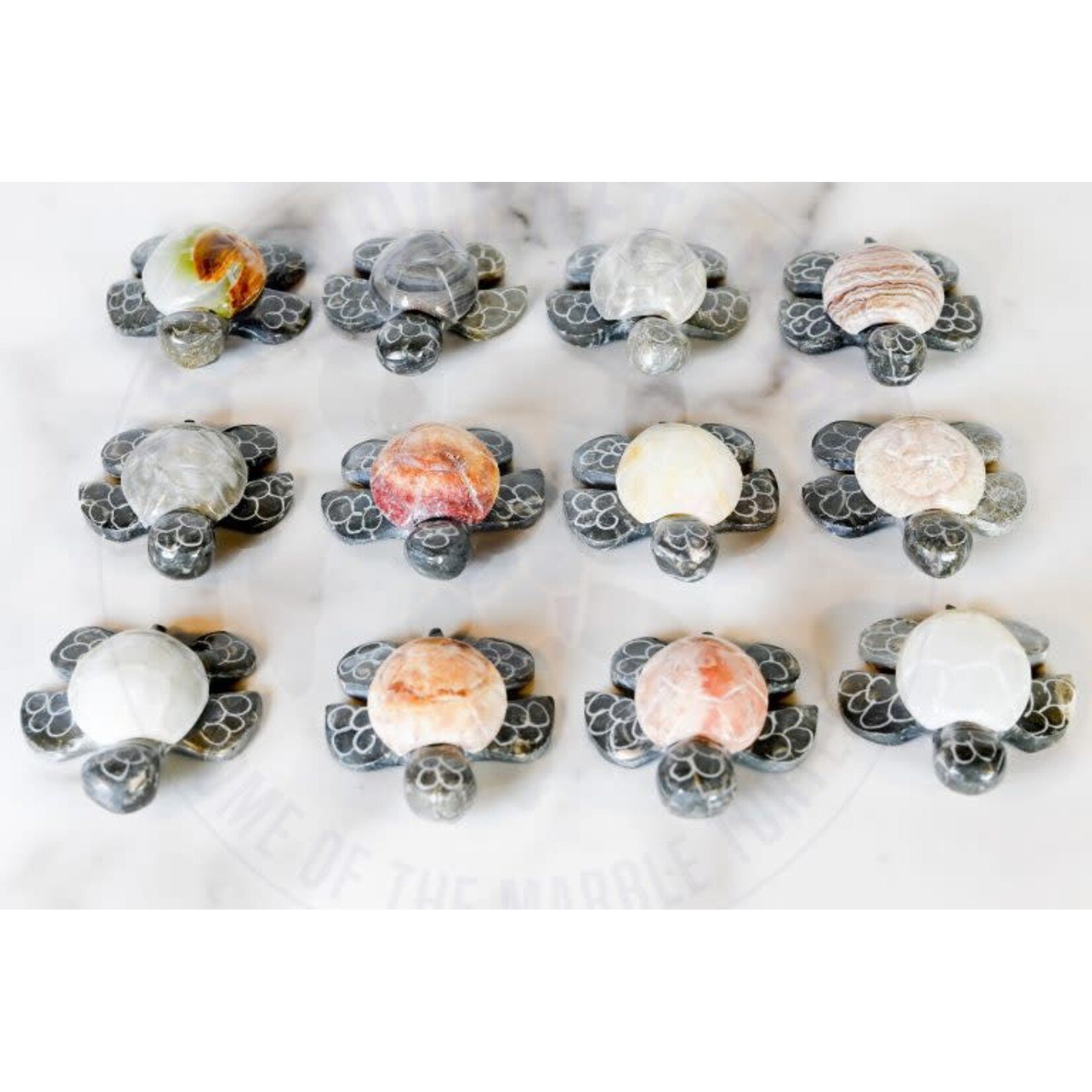 Marble Turtle Extra Small 2"